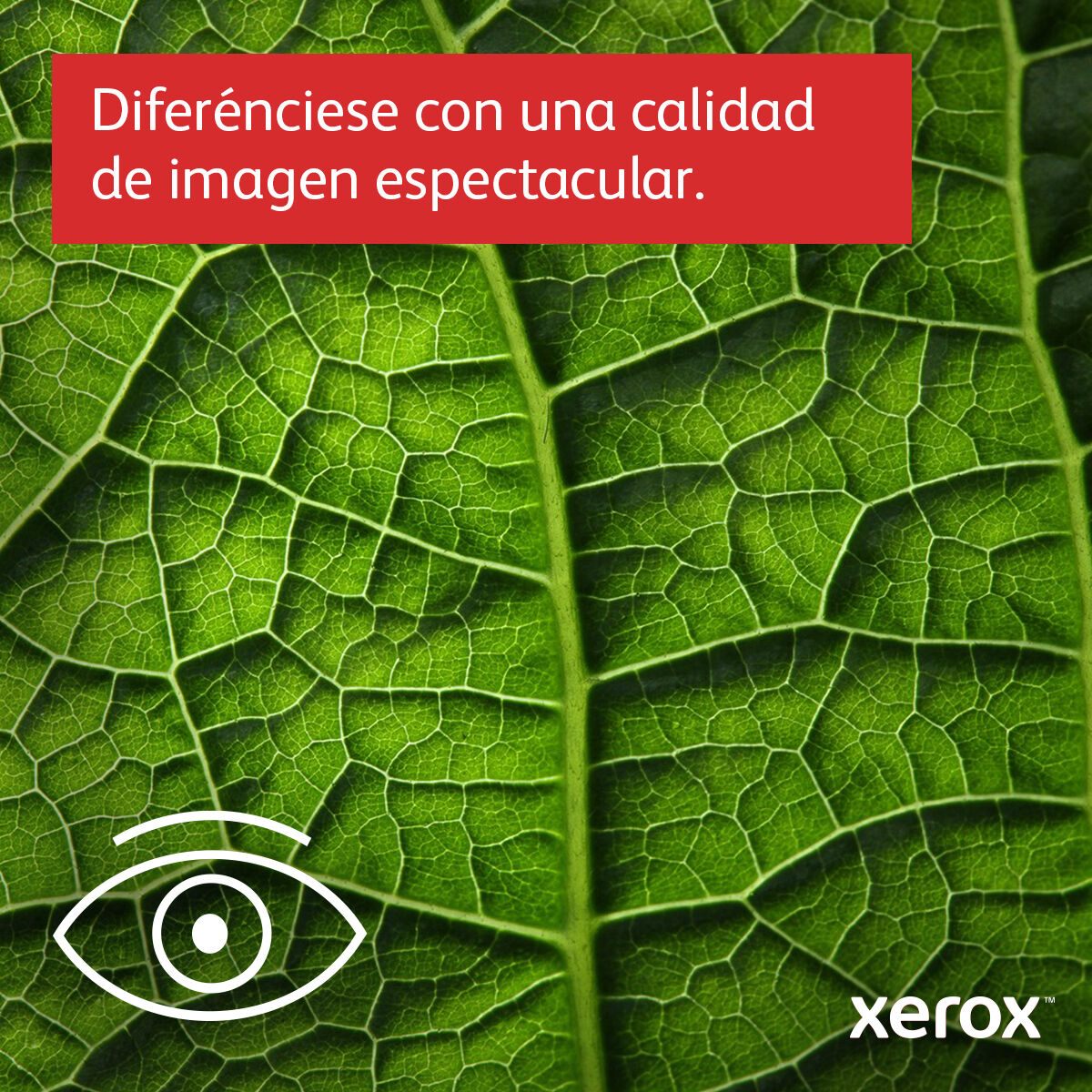 V3H0417DEDBE581D362DDABD326D64974C2R5580554P8